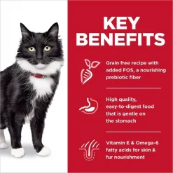 Hill's Science Diet 7+ Senior Vitality Chicken Recipe + Sensitive Stomach & Skin Salmon & Yellow Pea Recipe Dry Cat Food -Science Diet || Exotic Nutrition Sales 338689 PT8. SY630 V1635914542