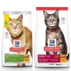 Hill's Science Diet 7+ Senior Vitality Chicken Recipe, 13-lb bag + Chicken Recipe Dry Cat Food, 16-lb bag
