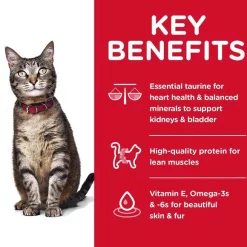 Hill's Science Diet 7+ Senior Vitality Chicken Recipe, 13-lb bag + Chicken Recipe Dry Cat Food, 16-lb bag -Science Diet || Exotic Nutrition Sales 338801 PT8. SY630 V1635913027