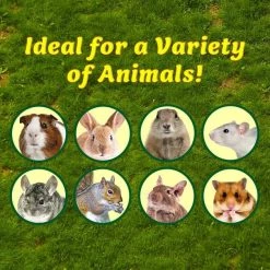 Exotic Nutrition Munchers Carrot Crunchers Small Animal Treat -Science Diet || Exotic Nutrition Sales 347560 PT5. SY630 V1657657093