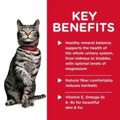 Hill's Science Diet Adult Sensitive Stomach & Skin Chicken & Rice Recipe Dry Cat Food, 15.5-lb bag + Hill's Science Diet Adult Urinary Hairball Control Savory Chicken Entree Canned Cat Food -Science Diet || Exotic Nutrition Sales 353412 PT8. SY630 V1639543884