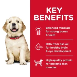 Hill's Science Diet Chicken & Barley Entree Canned Food + Chicken Meal & Oat Recipe Dry Dog Food -Science Diet || Exotic Nutrition Sales 356874 PT8. SY630 V1640903818