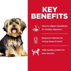 Hill's Science Diet Small Paws Chicken & Vegetables & Beef & Vegetables Variety Pack Wet Food Trays + Small & Mini Perfect Weight Dry Dog Food -Science Diet || Exotic Nutrition Sales 356876 PT4. SY630 V1640896911