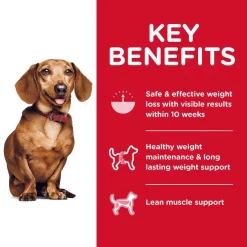 Hill's Science Diet Small Paws Chicken & Vegetables & Beef & Vegetables Variety Pack Wet Food Trays + Small & Mini Perfect Weight Dry Dog Food -Science Diet || Exotic Nutrition Sales 356876 PT8. SY630 V1640886715