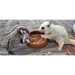 Exotic Nutrition Critter Selects EZ-Small Pet Worm Treat, 1.41-oz bag -Science Diet || Exotic Nutrition Sales 364103 PT3. SY630 V1643842615