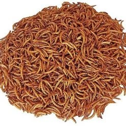 Science Diet || Exotic Nutrition Sales -Science Diet || Exotic Nutrition Sales 364105 PT1. SY630 V1643832697