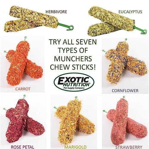 Exotic Nutrition Munchers Sticks w/ Marigold Small Pet Treats, 2 count 5 Exotic Nutrition Munchers Sticks w/ Marigold Small Pet Treats, 2 count - Image 5