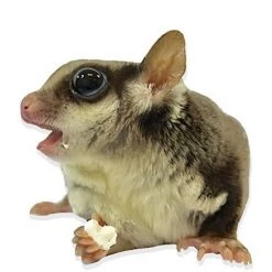 Exotic Nutrition Yogu Drops Small Pet treat, 14-oz bag -Science Diet || Exotic Nutrition Sales 369381 PT4. SY630 V1648159886