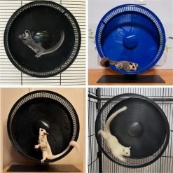 Exotic Nutrition Silent Runner Pro Wheel w/ Cage Attachment Small Pet Accesory -Science Diet || Exotic Nutrition Sales 371179 PT8. SY630 V1658190300