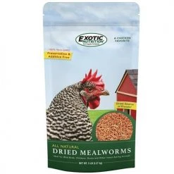 Exotic Nutrition Grub Worms Dry Mealworms Chicken Treats, 5-lb bag