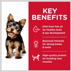 Hill's Science Diet Puppy Small Paws Chicken Meal, Barley & Brown Rice Dry Dog Food -Science Diet || Exotic Nutrition Sales 48907 PT5. SY630 V1609458151