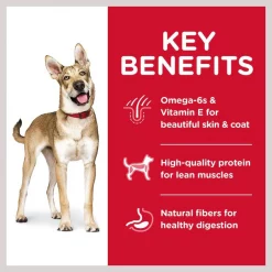 Hill's Science Diet Adult Lamb Meal & Brown Rice Recipe Dry Dog Food -Science Diet || Exotic Nutrition Sales 48913 PT3. SY630 V1598151384