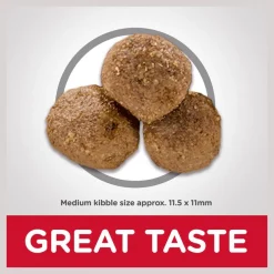 Hill's Science Diet Adult Lamb Meal & Brown Rice Recipe Dry Dog Food -Science Diet || Exotic Nutrition Sales 48913 PT5. SY630 V1598154105