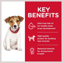 Hill's Science Diet Puppy Healthy Development Small Bites Dry Dog Food -Science Diet || Exotic Nutrition Sales 48918 PT3. SY630 V1598156200