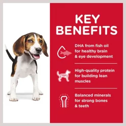 Hill's Science Diet Puppy Chicken Meal & Barley Recipe Dry Dog Food -Science Diet || Exotic Nutrition Sales 48922 PT3. SY630 V1598150760