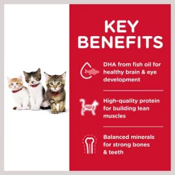 Hill's Science Diet Kitten Chicken Recipe Dry Cat Food -Science Diet || Exotic Nutrition Sales 48926 PT3. SY630 V1598154378