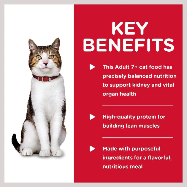 Hill's Science Diet Adult 7+ Savory Beef Entree Canned Cat Food 4 Hill's Science Diet Adult 7+ Savory Beef Entree Canned Cat Food - Image 4