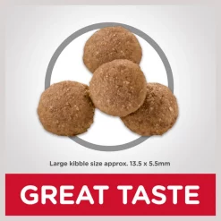 Hill's Science Diet Puppy Large Breed Chicken Meal & Oat Recipe Dry Dog Food -Science Diet || Exotic Nutrition Sales 48934 PT3. SY630 V1605830809