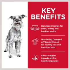 Hill's Science Diet Adult 7+ Small Paws Chicken Meal, Barley & Brown Rice Recipe Dry Dog Food -Science Diet || Exotic Nutrition Sales 48935 PT5. SY630 V1609369638