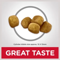 Hill's Science Diet Adult Oral Care Dry Cat Food -Science Diet || Exotic Nutrition Sales 48938 PT3. SY630 V1609381347