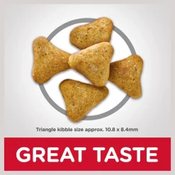 Hill's Science Diet Adult Hairball Control Light Dry Cat Food 14 Hill's Science Diet Adult Hairball Control Light Dry Cat Food -Science Diet || Exotic Nutrition Sales 48949 PT5. SY630 V1598145396