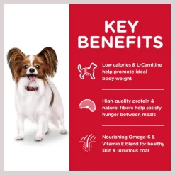 Hill's Science Diet Adult Small Paws Light Dry Dog Food -Science Diet || Exotic Nutrition Sales 48957 PT5. SY630 V1609448845