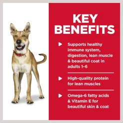 Hill's Science Diet Adult Beef & Barley Entree Canned Dog Food -Science Diet || Exotic Nutrition Sales 48969 PT3. SY630 V1598155912