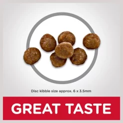 Hill's Science Diet Indoor Kitten Dry Cat Food -Science Diet || Exotic Nutrition Sales 48991 PT3. SY630 V1605841913