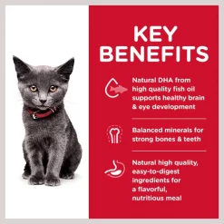 Hill's Science Diet Indoor Kitten Dry Cat Food -Science Diet || Exotic Nutrition Sales 48991 PT4. SY630 V1605831409