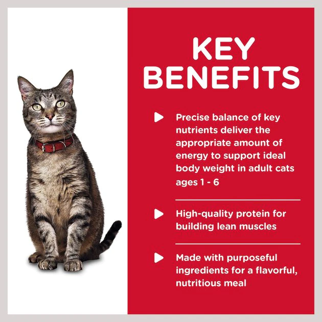 Hill's Science Diet Adult Turkey & Liver Entree Canned Cat Food 3 Hill's Science Diet Adult Turkey & Liver Entree Canned Cat Food - Image 3