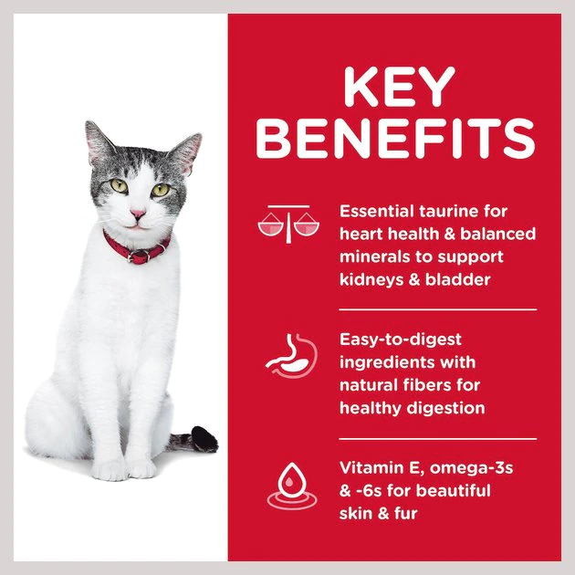 Hill's Science Diet Adult 11+ Chicken Recipe Dry Cat Food 4 Hill's Science Diet Adult 11+ Chicken Recipe Dry Cat Food - Image 4