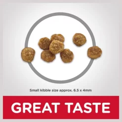 Hill's Science Diet Adult 11+ Chicken Recipe Dry Cat Food 14 Hill's Science Diet Adult 11+ Chicken Recipe Dry Cat Food -Science Diet || Exotic Nutrition Sales 49532 PT5. SY630 V1598150189