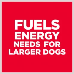 Hill's Science Diet Adult Large Breed Lamb Meal & Brown Rice Dry Dog Food -Science Diet || Exotic Nutrition Sales 52696 PT2. SY630 V1609381042