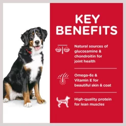 Hill's Science Diet Adult Large Breed Lamb Meal & Brown Rice Dry Dog Food -Science Diet || Exotic Nutrition Sales 52696 PT4. SY630 V1605836518