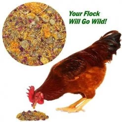 Exotic Nutrition Egg-Cellent Bird Supplement, 2-oz bag -Science Diet || Exotic Nutrition Sales 534046 PT2. SY630 V1657658635