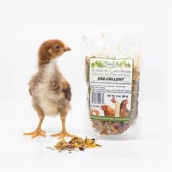 Exotic Nutrition Egg-Cellent Bird Supplement, 2-oz bag -Science Diet || Exotic Nutrition Sales 534046 PT3. SY630 V1652397709