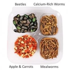 Exotic Nutrition Hedgehog Variety Pack Small Pet Treats -Science Diet || Exotic Nutrition Sales 534078 PT2. SY630 V1658191364