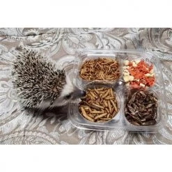 Exotic Nutrition Hedgehog Variety Pack Small Pet Treats -Science Diet || Exotic Nutrition Sales 534078 PT6. SY630 V1658201742