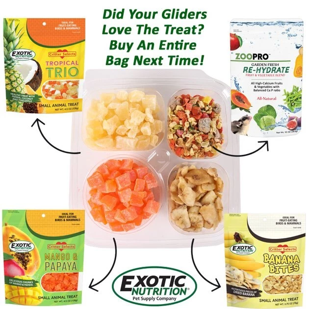 Exotic Nutrition Sugar Glider Variety Pack Small Pet Treats 3 Exotic Nutrition Sugar Glider Variety Pack Small Pet Treats - Image 3