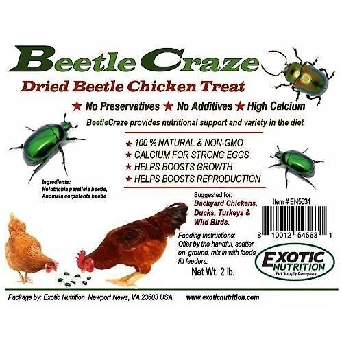 Exotic Nutrition Beetle Craze Bird Treats, 2-lbs bag 4 Exotic Nutrition Beetle Craze Bird Treats, 2-lbs bag - Image 4
