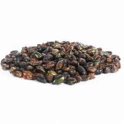 Exotic Nutrition Beetle Craze Bird Treats, 2-lbs bag 12 Exotic Nutrition Beetle Craze Bird Treats, 2-lbs bag -Science Diet || Exotic Nutrition Sales 534110 PT5. SY630 V1651868490
