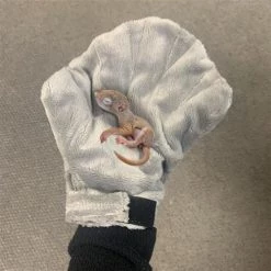 Exotic Nutrition Calming Small Pet Glove, Gray -Science Diet || Exotic Nutrition Sales 535614 PT5. SY630 V1657658793