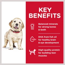 Hill's Science Diet Puppy Large Breed Lamb Meal & Rice Recipe Dry Dog Food -Science Diet || Exotic Nutrition Sales 53695 PT4. SY630 V1605830513