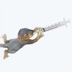 Exotic Nutrition Wonder Nipple & Syringe Set -Science Diet || Exotic Nutrition Sales 549918 PT8. SY630 V1658230222