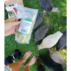 Exotic Nutrition Green Pea Flakes Bird Treats, 1-lb -Science Diet || Exotic Nutrition Sales 570966 PT4. SY630 V1657660121