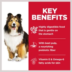 Hill's Science Diet Adult Sensitive Stomach & Skin Grain-Free Salmon & Vegetable Entree Canned Dog Food -Science Diet || Exotic Nutrition Sales 74199 PT5. SY630 V1612823472