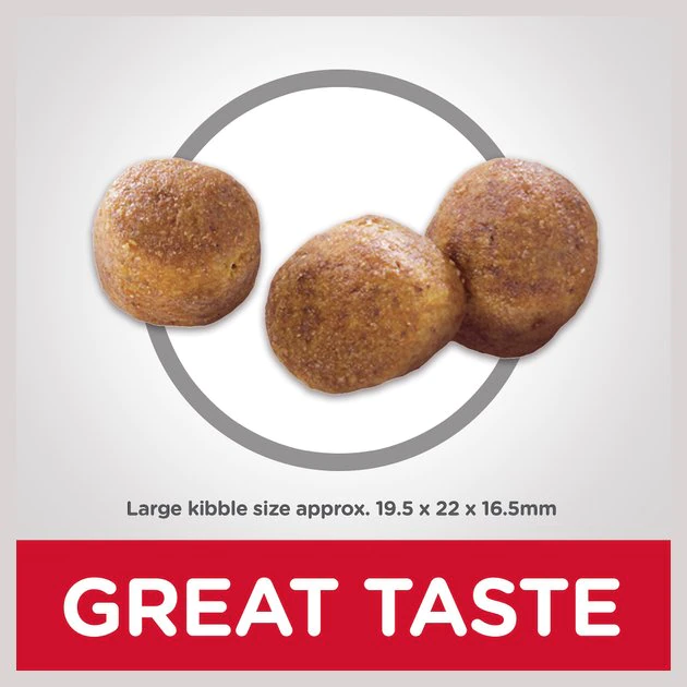 Hill's Science Diet Adult Oral Care Dry Dog Food 5 Hill's Science Diet Adult Oral Care Dry Dog Food - Image 5