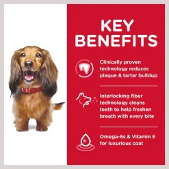 Hill's Science Diet Adult Oral Care Dry Dog Food 14 Hill's Science Diet Adult Oral Care Dry Dog Food -Science Diet || Exotic Nutrition Sales 74237 PT5. SY630 V1609801344