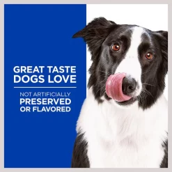 Hill's Natural Soft Savories with Beef & Cheddar Dog Treats -Science Diet || Exotic Nutrition Sales 83145 PT3. SY630 V1609805852