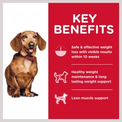 Hill's Science Diet Adult Small & Mini Perfect Weight Dry Dog Food -Science Diet || Exotic Nutrition Sales 87773 PT5. SY630 V1609457242